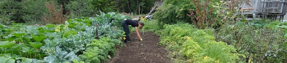 Maine Homestead Life